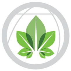 CBD Natural Solutions logo